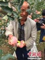 果农杨道道向记者展示印有祝福文字的苹果。中新网 种卿 摄 - 甘肃新闻