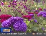 金昌：从中国镍都到西部花城的美丽嬗变 - 甘肃省广播电影电视