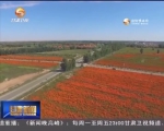 金昌：从中国镍都到西部花城的美丽嬗变 - 甘肃省广播电影电视
