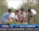 宁县：“213”模式壮大村级集体经济 - 甘肃省广播电影电视