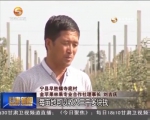 宁县：“213”模式壮大村级集体经济 - 甘肃省广播电影电视