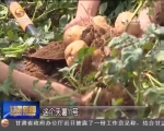 天水：科技助力打造现代农业“新引擎” - 甘肃省广播电影电视