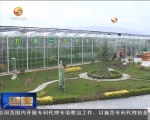 天水：科技助力打造现代农业“新引擎” - 甘肃省广播电影电视