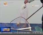 康乐海甸峡：蟹儿肥  鱼儿壮 - 甘肃省广播电影电视
