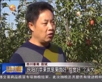 庆阳：走特色产业路  打富民增收牌 - 甘肃省广播电影电视