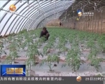 甘肃：产业拓宽增收路 - 甘肃省广播电影电视