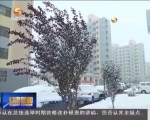 降雪降温 我省多地气温跌破0℃ - 甘肃省广播电影电视