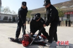 图为警员擒拿“恐怖分子”。　崔琳 摄 - 甘肃新闻