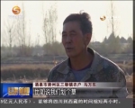 酒泉：农机合作社成为现代农业主力军 - 甘肃省广播电影电视