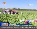 甘肃：生态链“串起”致富链 循环助推农业现代化 - 甘肃省广播电影电视