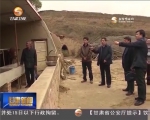 通渭：养殖保险有效增强群众产业发展信心 - 甘肃省广播电影电视