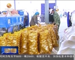 定西：马铃薯产业成为农民致富铺路石 - 甘肃省广播电影电视