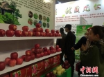 12月31日，第二届中国西部(兰州)休闲博览会暨甘肃首届农产品交易会在甘肃国际会展中心开幕。　崔琳 摄 - 甘肃新闻