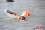 图为冬泳爱好者表演“横渡黄河”。　杨艳敏 摄 - 甘肃新闻