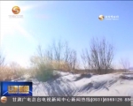 金塔县：“治沙”到“用沙”的发展路 - 甘肃省广播电影电视