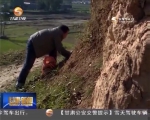 新春走基层 | 泥巴里的苦乐人生 - 甘肃省广播电影电视