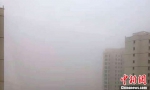1月25日下午，一场冬季鲜见的大范围沙尘天气侵袭甘肃河西走廊地区。图为武威市沙尘暴来袭时的景象。　钟欣 摄 - 甘肃新闻