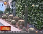 观美景  赏花卉  外出旅游真开心 - 甘肃省广播电影电视