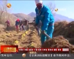 正月里别样忙 金鸡唱响好年景 - 甘肃省广播电影电视