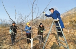 奋力建小康 - 人民政府