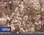 暖意融融立春日 踏春赏景好时节 - 甘肃省广播电影电视