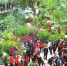 春节期间 金川植物园内草木郁郁葱葱 生机盎然 - 人民政府