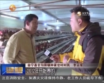 钟家岔人的幸福生活 - 甘肃省广播电影电视