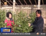 （聚焦中央一号文件）撸起袖子加油干  开创农业新局面 - 甘肃省广播电影电视