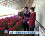 甘肃：棚膜经济助力农业发展 - 甘肃省广播电影电视