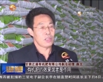 （聚焦中央一号文件）甘肃春耕多用有机肥 确保绿色春耕 - 甘肃省广播电影电视