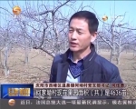 （聚焦中央一号文件）调结构 重规模 实现农民稳步增收 - 甘肃省广播电影电视