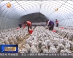 天水：土地流转 “转”出农民致富路 - 甘肃省广播电影电视