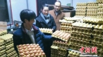 图为返乡农民工曹礼在自家创办的养鸡专业合作社搬运鸡蛋。　郭强 摄 - 甘肃新闻