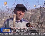 【甘肃新闻】（聚焦中央一号文件）科学种植实现农民增收 - 甘肃省广播电影电视