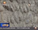 【甘肃新闻】（撸起袖子加油干）酒泉石头大棚：绿了戈壁富了家     - 甘肃省广播电影电视