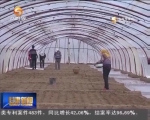 甘肃：发力农业供给侧 拓宽农民致富路 - 甘肃省广播电影电视