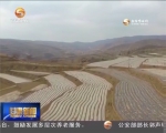 农家书屋：农民的“文化粮仓“  架起脱贫致富信息桥 - 甘肃省广播电影电视