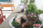 图为学生制作的盆景。　钟欣 摄 - 甘肃新闻