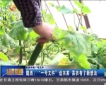 陇西：“一号文件”送农家 菜农有了新想法 - 甘肃省广播电影电视