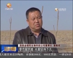 植树催浓春意 播绿造福后人 - 甘肃省广播电影电视