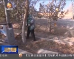 植树催浓春意 播绿造福后人 - 甘肃省广播电影电视
