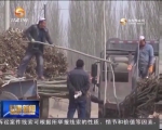 （聚焦中央一号文件）玉门：调整种植结构 增加农民收入 - 甘肃省广播电影电视