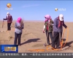 【防沙治沙用沙】张掖：治沙与用沙结合的生态之路 - 甘肃省广播电影电视