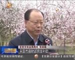 定西：让“义务树”变成百姓“摇钱树” - 甘肃省广播电影电视