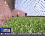 （砥砺奋进的五年）我省外向型农业发展渐入佳境 - 甘肃省广播电影电视