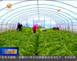 （砥砺奋进的五年）我省外向型农业发展渐入佳境 - 甘肃省广播电影电视