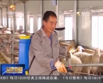 《“八个着力”促发展》发展现代农业 增强农产品供给保障能力 - 甘肃省广播电影电视