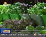 《“八个着力”促发展》发展现代农业 增强农产品供给保障能力 - 甘肃省广播电影电视