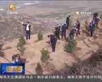 人勤春来早  植树正当时 - 甘肃省广播电影电视