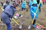 4月中旬，甘肃政企联手在定西市渭源县启动春季栽植十万亩大果沙棘公益项目，200多名志愿者前往当地一级水源地——黄香沟风景区栽种下3000棵树苗。　崔琳 摄 - 甘肃新闻